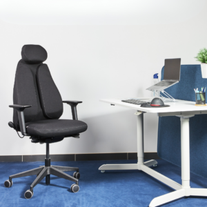 soutien dorsal double